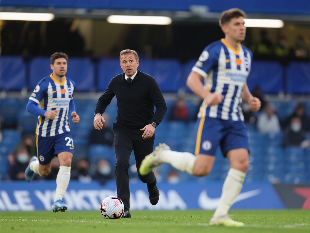 如果无法引 如果无法引